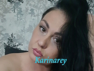 karinarey Salope 2 Mature