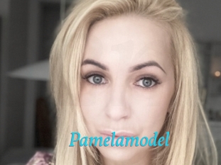 Pamelamodel