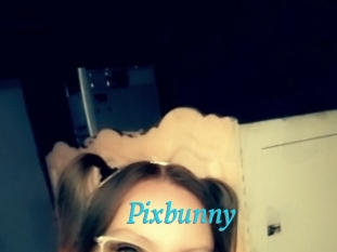 pixbunny Salope 2 Mature