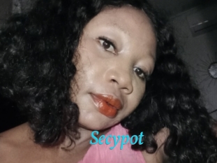 Secypot