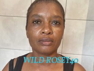 WILD_ROSEY40